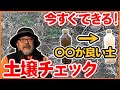 家庭菜園や農園で簡単に土壌をチェックするコツ！雑草で判断！？数分間でチェックして土壌改善する方法を徹底解説！【農園ライフ】