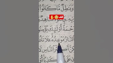 سورة هود💕