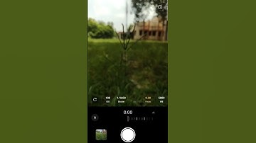 Mobile Photography Pro Mode |  Street Photography Shots