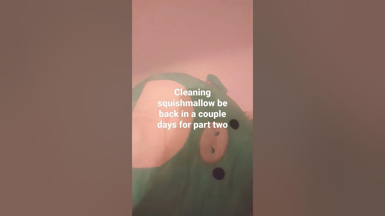 cleaning a squishmallow YouTube