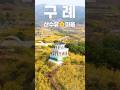 2025 구례 산수유마을의 봄🌸 #산수유꽃축제 #산수유마을 #구례 #트래킹 #koreatravel #korealife #trekking