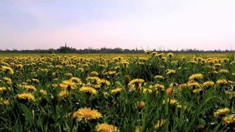 Looking forward to a successful 2010.m4v