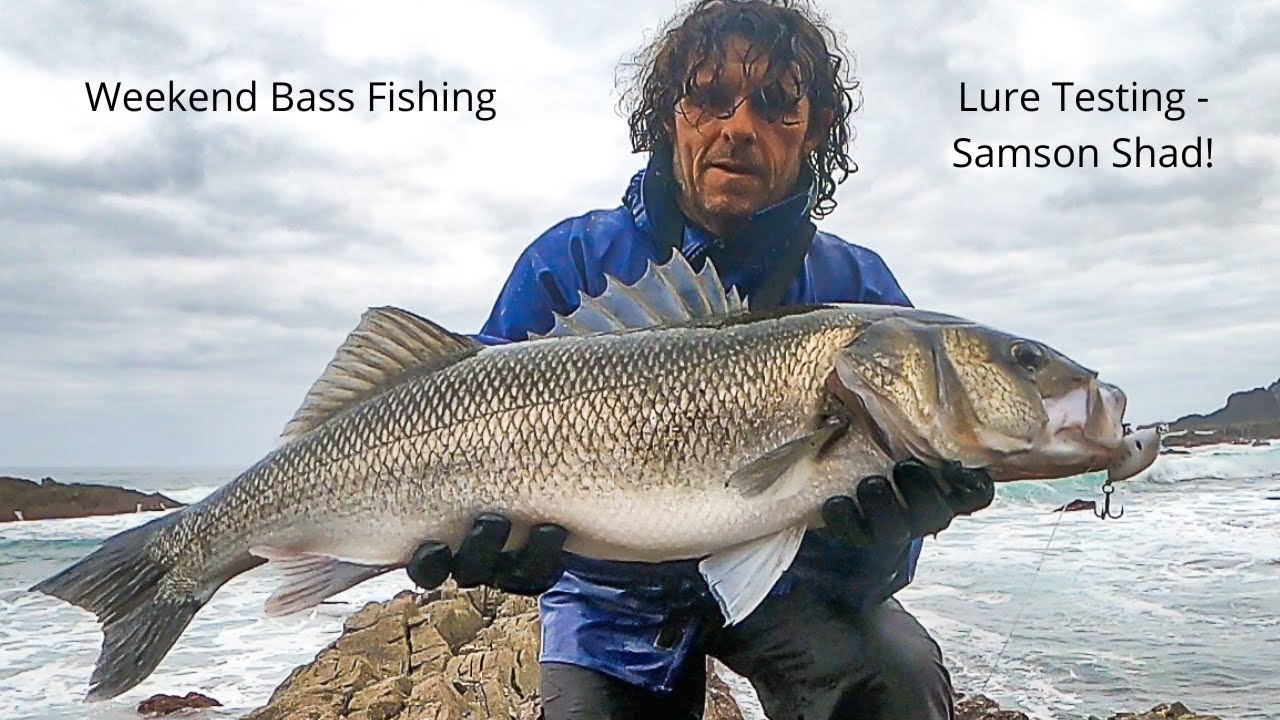 Sea Bass Fishing Weekend-pt 2 - Testing Lures On Bass, Bluefish
