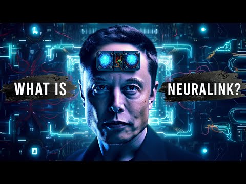 Video: Elon Musks Neuralink. Del Tre: Flyga över Ett Bo Av Neuroner - Alternativ Vy