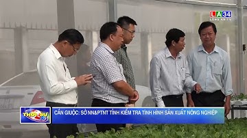 Cần Giuộc: Sở NN&PTNT tỉnh kiểm tra tình hình sản xuất nông nghiệp | LONG AN TV