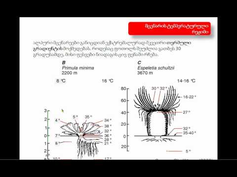 ალპურ მცენარეთა ფუნქციური ეკოლოგია