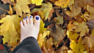 Barefoot Journey Fall Leaves