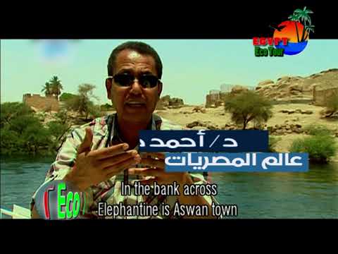 عالم المصريات احمد صالح الاهمية التاريخية لجزيرة الفنتين