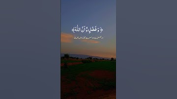 #تلاوة_خاشعة #راحة_نفسية #quran #المصحف #القران_الكريم