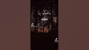 سورة يونس أحمد العجمي ماشاء الله