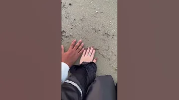 يادي يادي المشاعر 