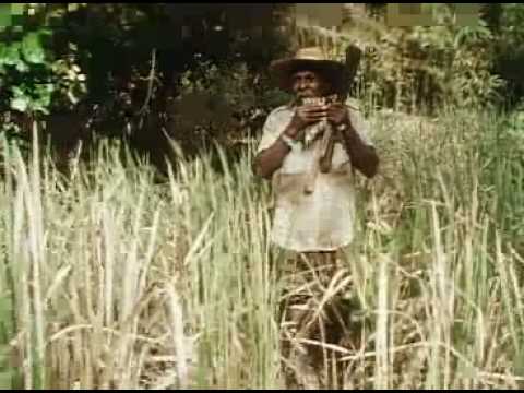 James Rice playing pan pipe