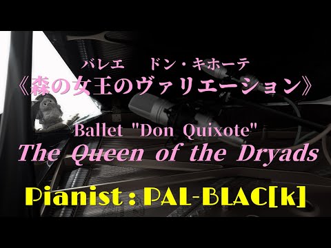 レオン・ミンクス作曲 ドン・キホーテより森の女王のバリエーション
