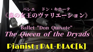 レオン・ミンクス作曲 ドン・キホーテより森の女王のバリエーション