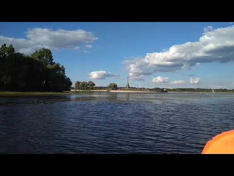 Ярославль стрелка, Гибрид