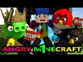 A NEW ANGRY MINECRAFT  1  (Angry Birds Minecraft Animation)