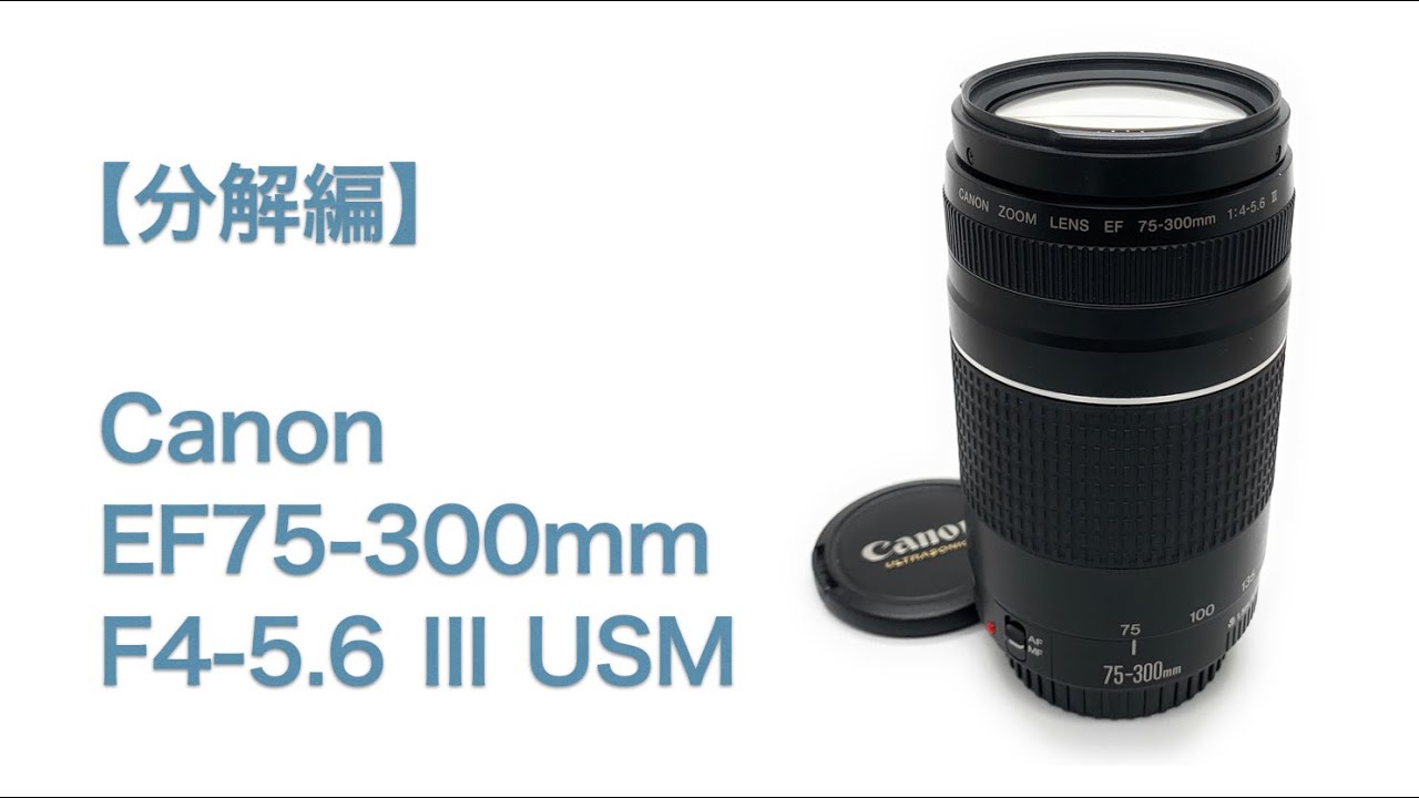 動作品☆キャノン CANON EF 75-300mm F4-5.6 II