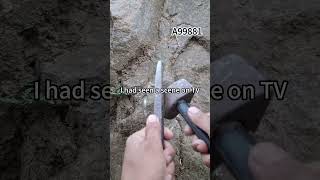 65e6A99881_as221 65e6A99881_as221