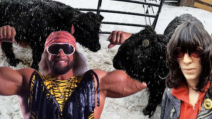 Joey Ramone vs Macho Man Randy Savage (Battle of t...