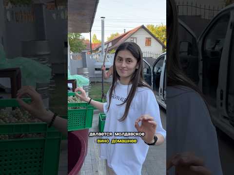 Делаем молдавские вино.