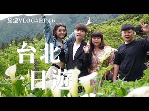 【旅遊Vlog#16】台北到底怎麼玩？│ 誰說台北只有百貨公司、咖啡廳？團長帶你遠離塵囂玩一天！