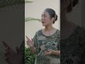 Nhân duyên nghe muốn tiền đình #faptv #comnguoi358