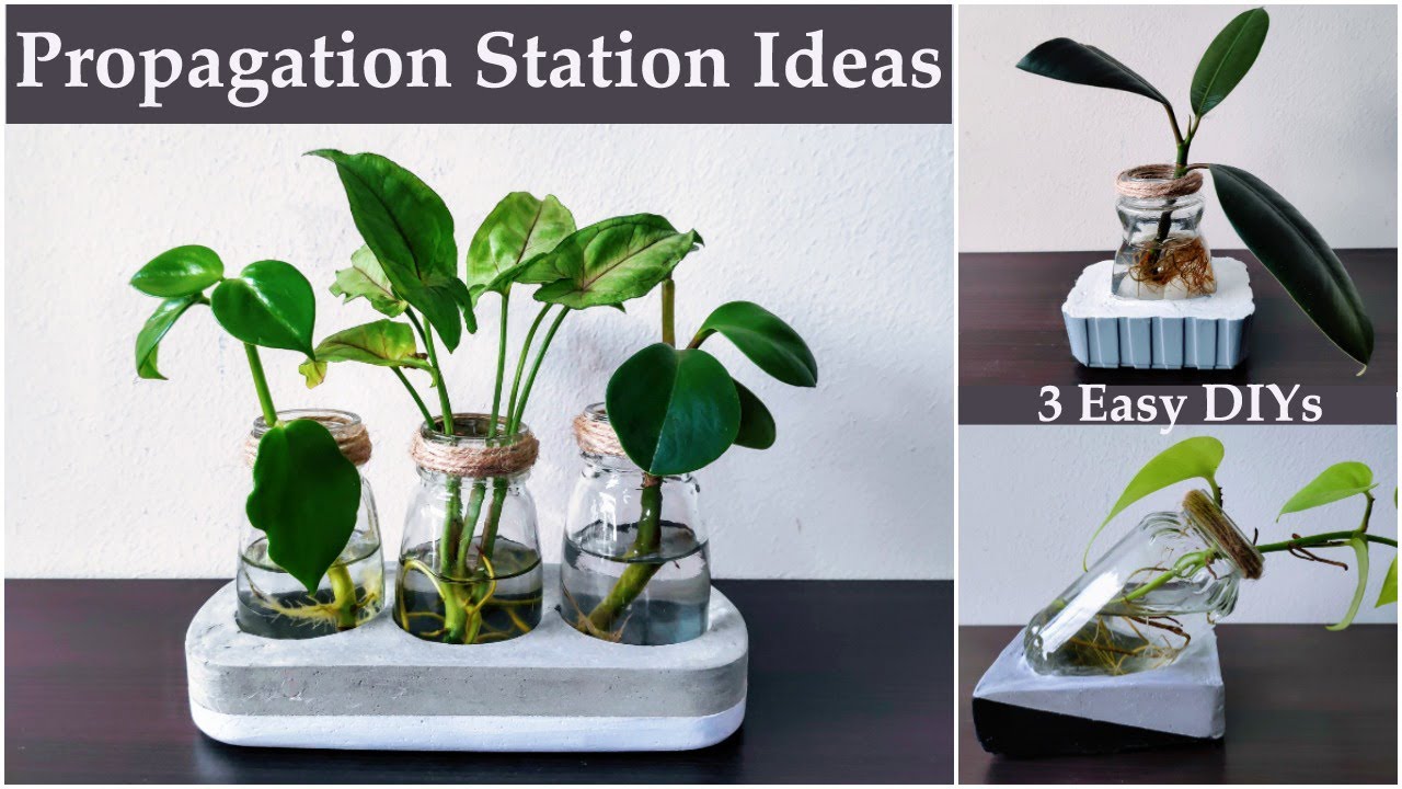 3 DIY Concrete and Glass Hydroponics Table Planters | DIY Glass Propagation Station Ideas