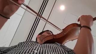 Bellafontana small violin sound sample test