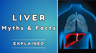 Liver Health Myths vs. Facts: What You Really Need to Know thumbnail