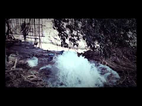 14 ივნისი