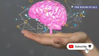 Unlocking the mysteries of human consciousness