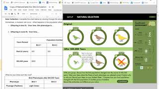 Natural Selection Simulation Part 2