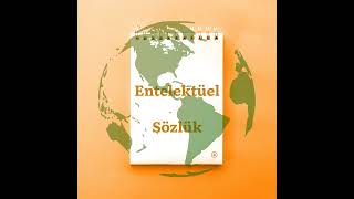 Cesur Yeni Dünya Resimi