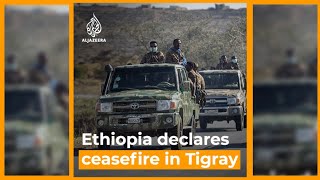 Ethiopia declares ceasefire in Tigray as rebels retake capital Mekelle | Newsfeed