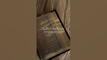 ﴿يَوْمَ يَقُومُ الرُّوحُ وَالْمَلَائِكَةُ صَفًّا لَّا يَتَكَلَّمُونَ﴾ #تلاوة_خاشعة ، عبد الرحمن مسعد
