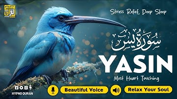 Healing Surah Yaseen for Deep Sleep, Inner Peace, Stress Relief ✦ Yasin سورة يس Beautiful Tilawah