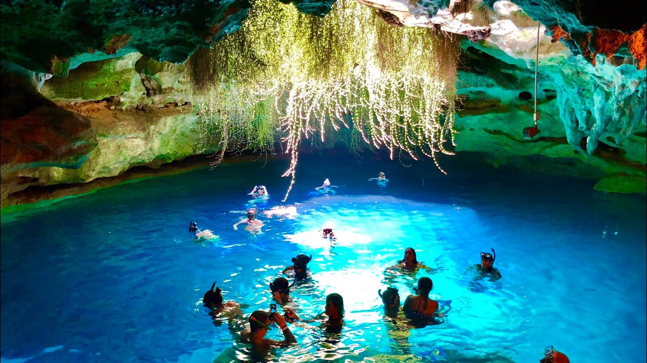 Devil's Den Spring - Williston, FL