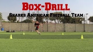 Box Drill by Cairo Sharks