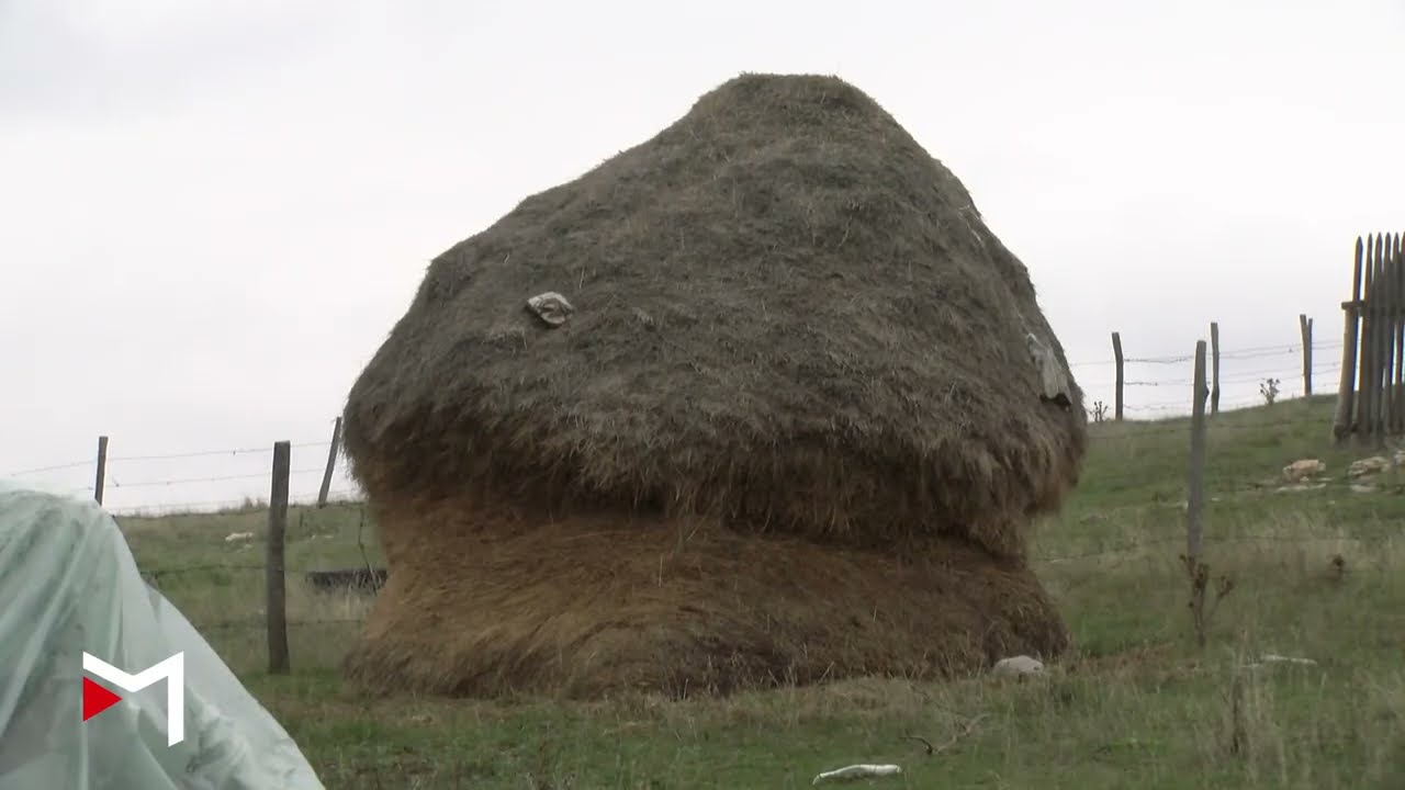 Život i pripreme za zimu u pešterskom selu Bioc