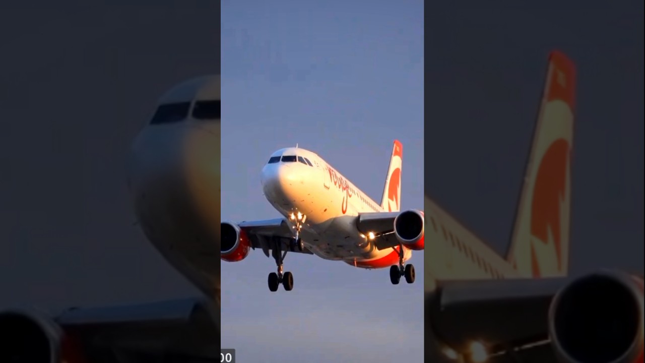 Air Canada Rouge Airbus 319-100 Landing From New Orleans To Toronto 