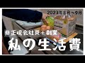 生活費公開/非正規雇用/副業収入/一人暮らし/節約生活/低収入/手取13万/月10万で暮らす/人間界はトラップだらけ