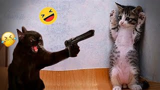 🐱😹 New Funny Cats and Dogs Videos 😘🙀 New Funny Animals 2024 # 17