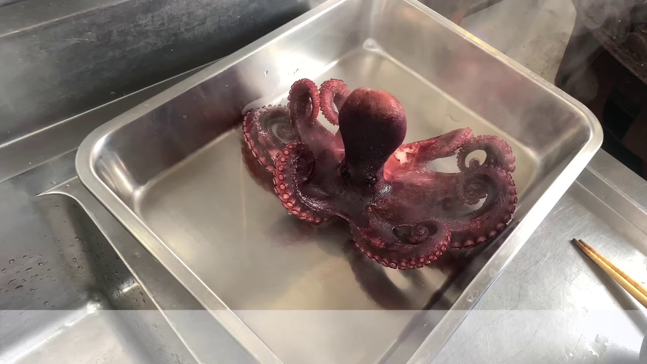 鈴円本舗日間賀島産極上生たこの茹で方 Youtube