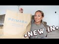 NEW IN PRIMARK AUTUMN/WINTER TRY ON HAUL | Lucy Jessica Carter