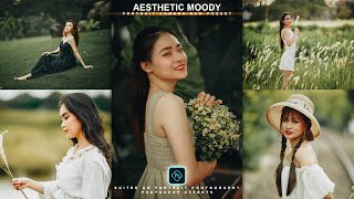 Aesthetic Moody Tone  Camera Raw Preset  Color Grading Photoshop Tutorial