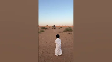 بايعها بقشر بصله 