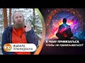 К чему привязаться, чтобы ни к чему не привязываться? Неискаженная любовь и свобода от зависимостей.