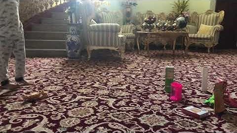 Underarm and overarm throw