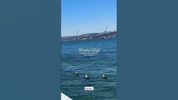 تلاوة هادئة تريح القلب وتشرح الصدر بصوت الشيخ ياسر الدوسري #quran #اكسبلور #viral