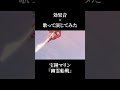 【アニメ風】幽霊船線 / 歌って演じてみた【最強効果音付き】 #hololive #宝鐘マリン #幽霊船戦